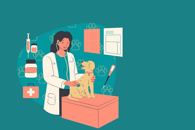 Kdy navštívit veterináře: Signály, které nelze ignorovat