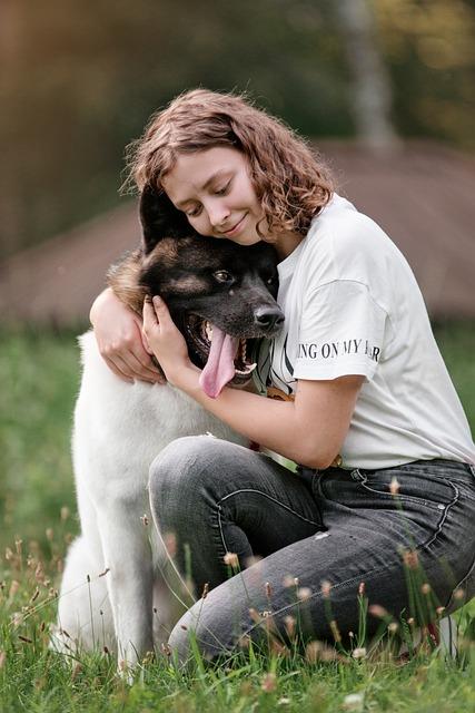 Tipy pro majitele: Jak zvládnout období hárání bez stresu