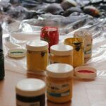 Co potřebuje Husky: Kompletní seznam potřeb