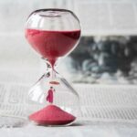 Kdy dát psovi obojek proti klíšťatům: Správný čas a použití