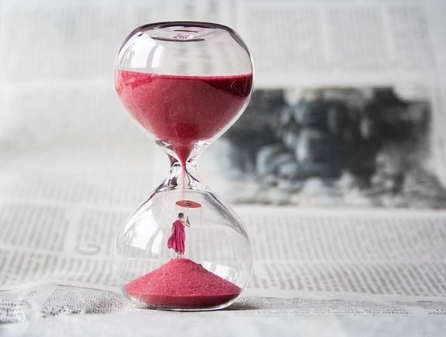 Kdy dát psovi obojek proti klíšťatům: Správný čas a použití