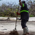 Vše o psech na jednom místě: Trénink psů, krmiva a plemena 11 Proč Husky hrabe: Vše o jejich chování