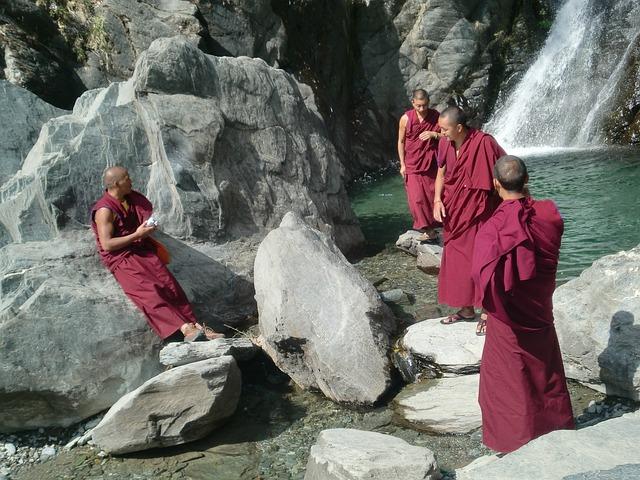 Mýty a fakta o tibetských mastifech: rozptýlení nedorozumění