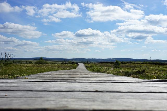 Psychologické potřeby fen‌ a jejich naplnění