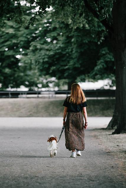 Nejlepší značky a modely stopovacích vodítek na trhu