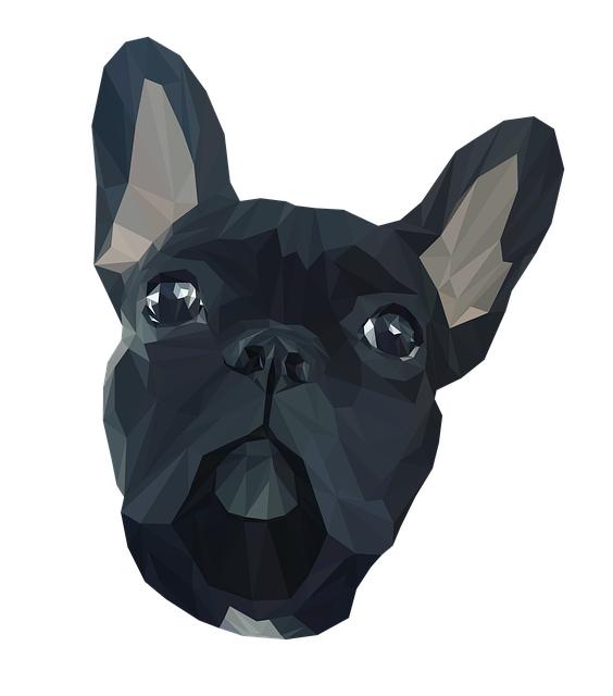 Francouzský buldoček spí a mlaská: Co to znamená a jak reagovat?