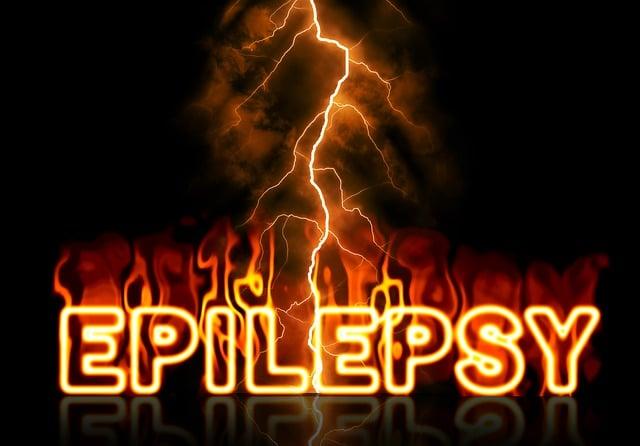 Diagnostika epilepsie u francouzských buldočků