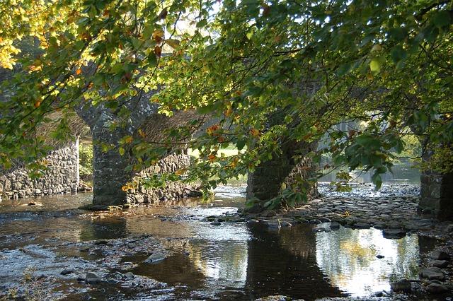 Vše o psech na jednom místě: Trénink psů, krmiva a plemena 9 16 důvodů, proč si nepořizovat pomeraniana: Na co si dát pozor