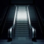 Saarloosův vlčák chovné stanice: Kde najít nejlepší chovatele?