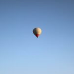 Vše o psech na jednom místě: Trénink psů, krmiva a plemena 11 Border kolie zkušenosti: Co říkají majitelé o tomto plemeni?