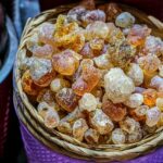 Granule pro francouzský buldoček recenze: Nejlepší krmivo na trhu!