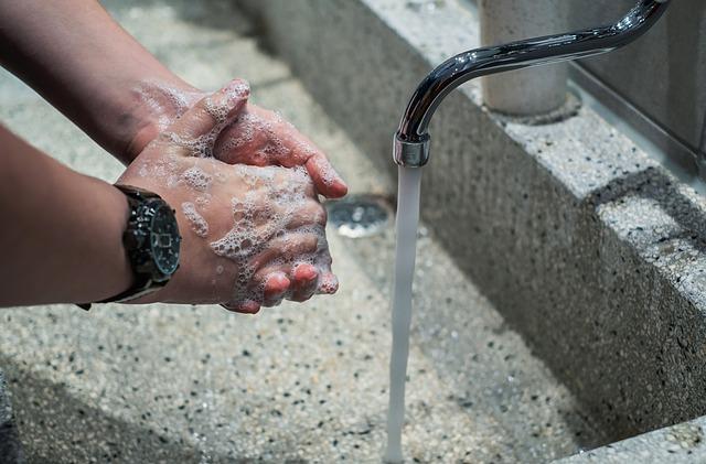 Tipy na ústní hygienu pro vašeho psa