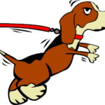 Co to je lishinu vodítko: Moderní Řešení pro Aktivní Psy