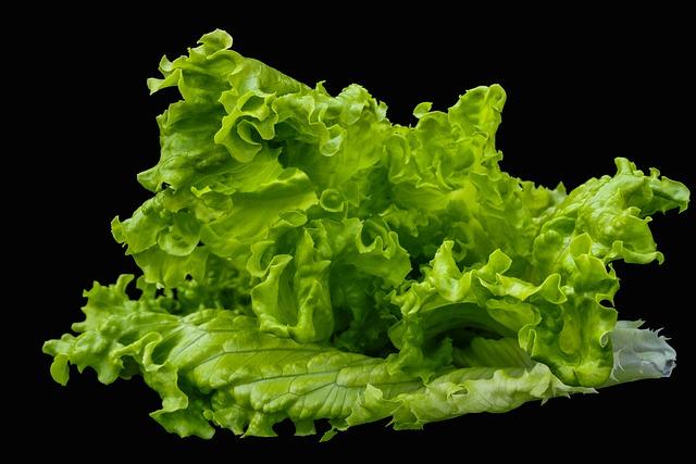 Vše o psech na jednom místě: Trénink psů, krmiva a plemena 9 Bezsrstý francouzský buldoček: Existuje vůbec?