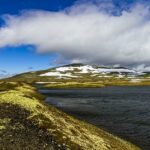 Akita Inu Povaha: Jaký Je Skutečně Tento Pes?