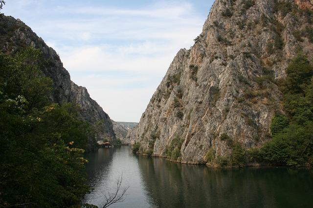 Jak se postarat o novou matku a její štěňata po porodu