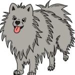 Pomeranian spí: Jak zajistit kvalitní spánek pro vašeho psa