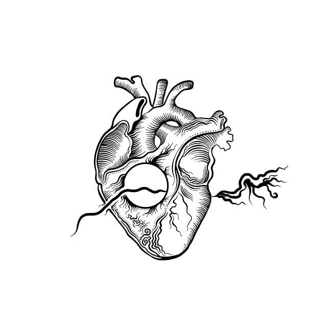 Pochopení anatomie uší a jejich vývoje