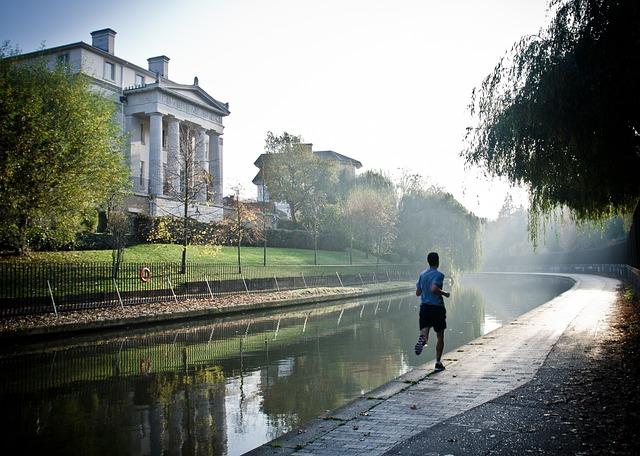 Motivace a odměny: Jak správně motivovat vašeho psa