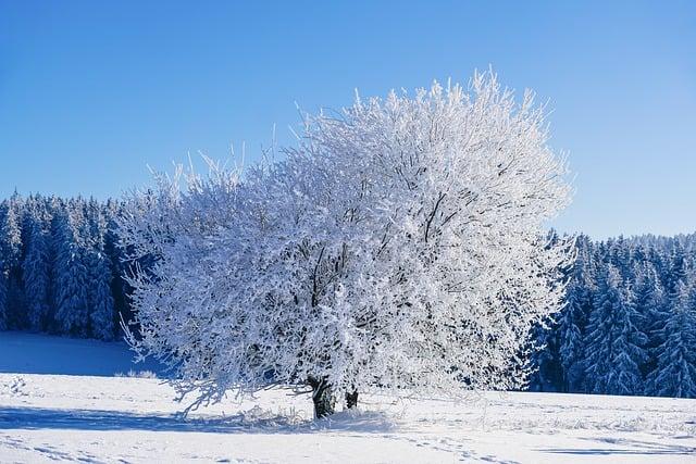 Tipy na zimní procházky: jak správně plánovat outdoorové aktivity